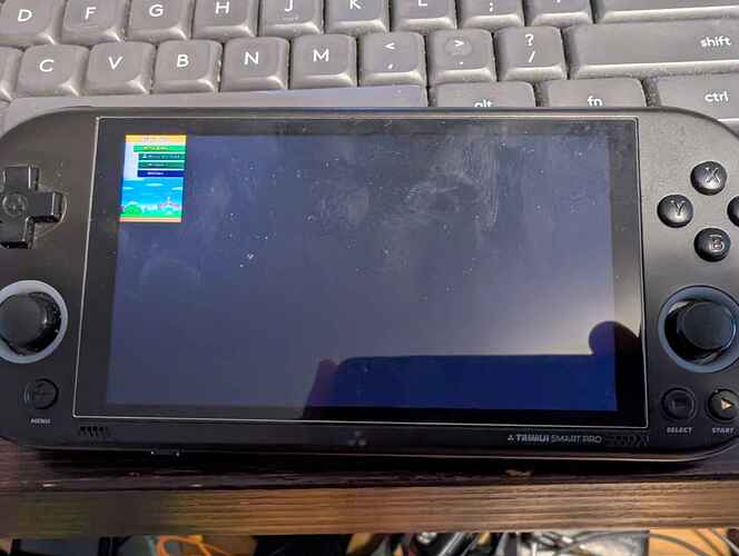 TSP Drastic NDS Canada Goose