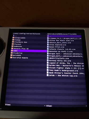 IMG_20251121_115220_091