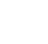 Nintendo Wii